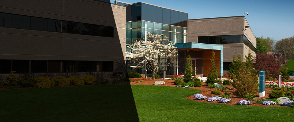 Cedar Hill Landscapers