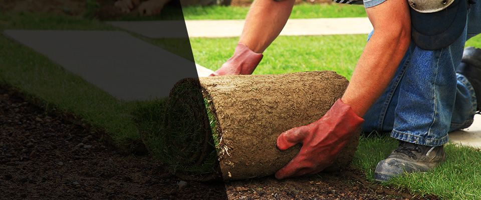 Cedar Hill Landscapers